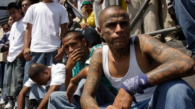 MS 13 pose.jpg